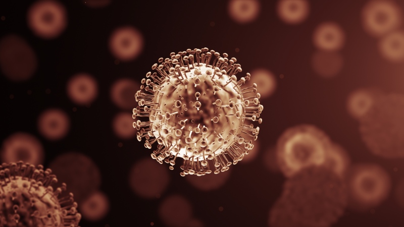 Coronavirus Update